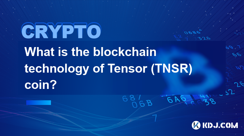 Tensor (TNSR) コインのブロックチェーン技術とは何ですか?