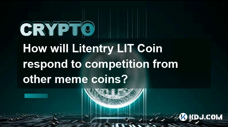 Wie wird Litentry LIT Coin auf die Konkurrenz durch andere Meme-Coins reagieren?