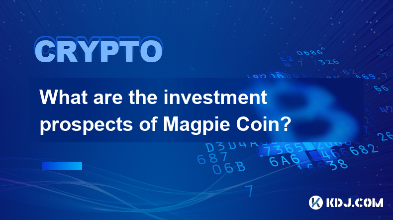 Magpie Coin の投資見通しは何ですか?