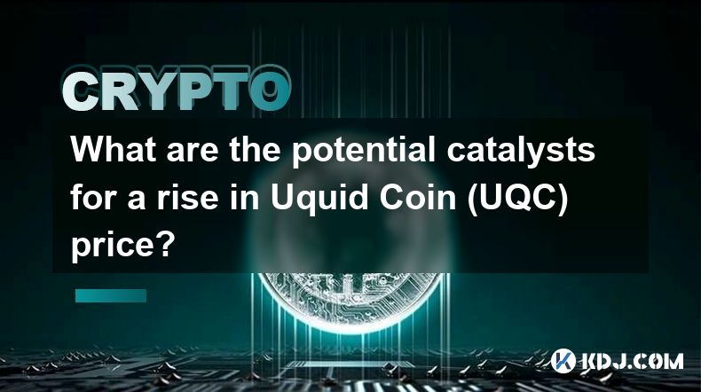 Uquid Coin(UQC) 가격 상승의 잠재적 촉매제는 무엇입니까?