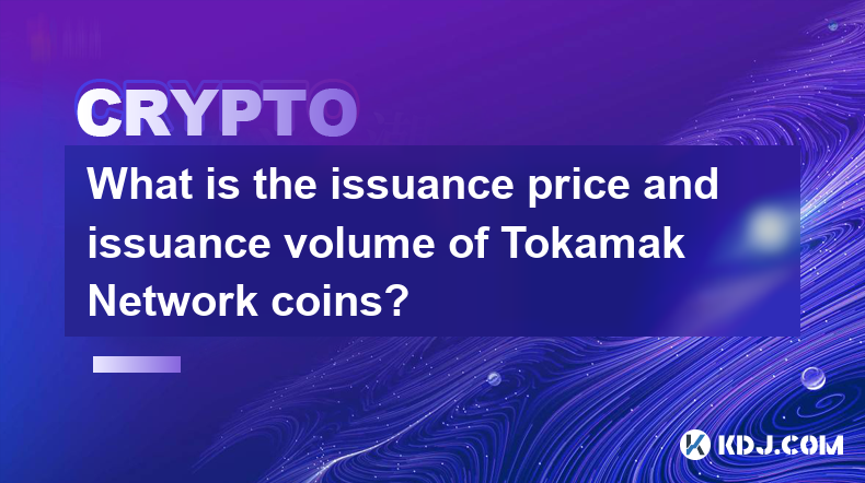 What is the issuance price and issuance volume of Tokamak Network coins?