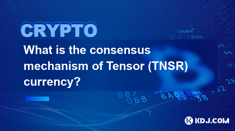 Was ist der Konsensmechanismus der Tensor-Währung (TNSR)?