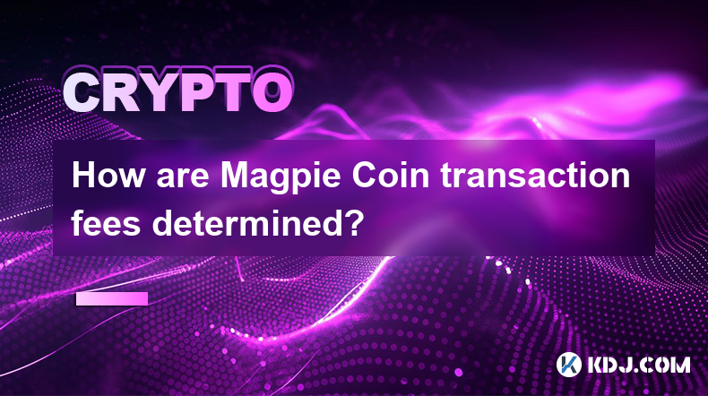 How are Magpie Coin transaction fees determined?