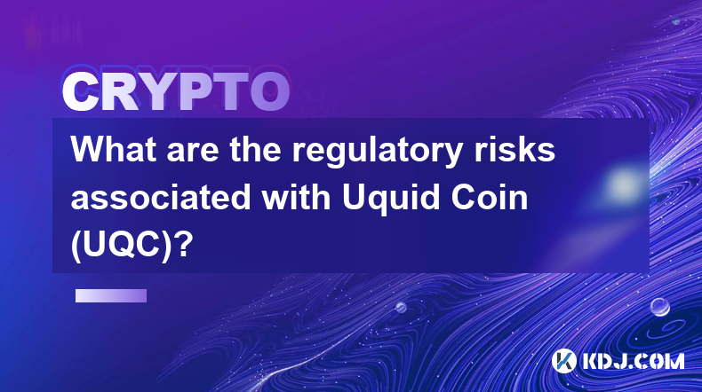 Welche regulatorischen Risiken sind mit Uquid Coin (UQC) verbunden?