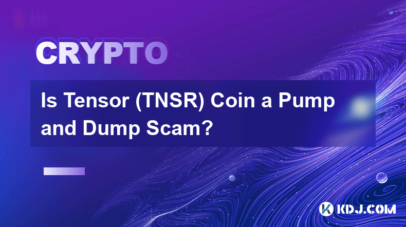 Is Tensor (TNSR) Coin a Pump and Dump Scam?