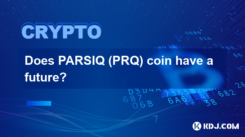 PARSIQ（PRQ）币有未来吗？