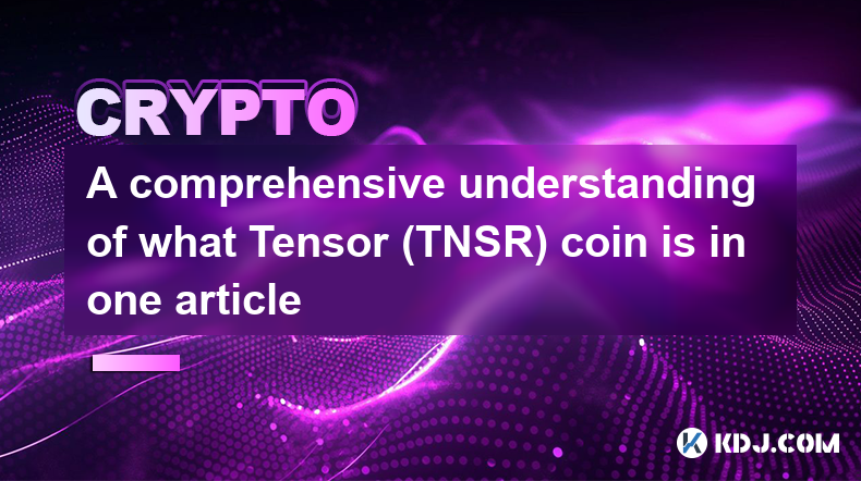 A comprehensive understanding of what Tensor (TNSR) coin is in one article