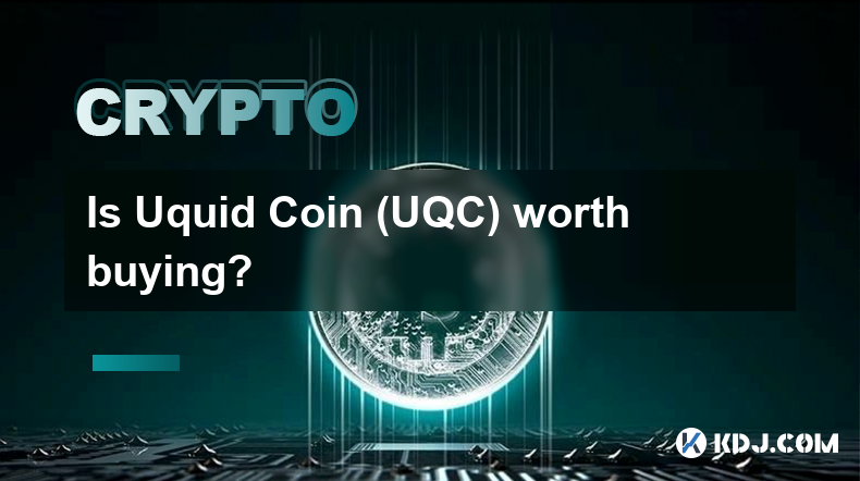 Uquid Coin (UQC) 值得購買嗎？