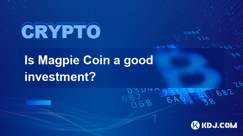 Ist Magpie Coin eine gute Investition?