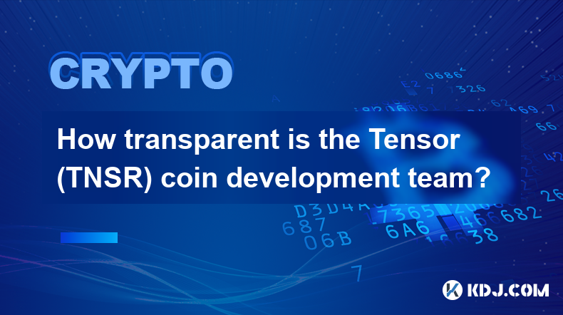 Wie transparent ist das Entwicklungsteam der Tensor (TNSR)-Münze?