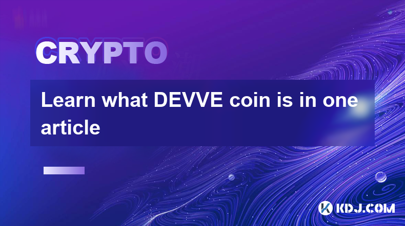 在一篇文章中了解 DEVVE 币是什么