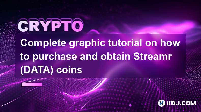 Complete graphic tutorial on how to purchase and obtain Streamr (DATA) coins