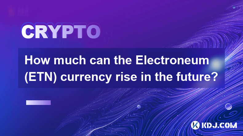 Electroneum（ETN）幣種未來能升值多少？