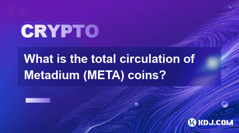 Metadium (META) 硬币的总发行量是多少？