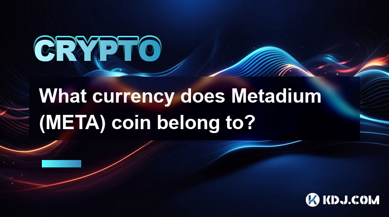 What currency does Metadium (META) coin belong to?