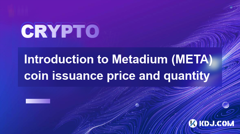 Metadium（META）幣發行價格及數量介紹