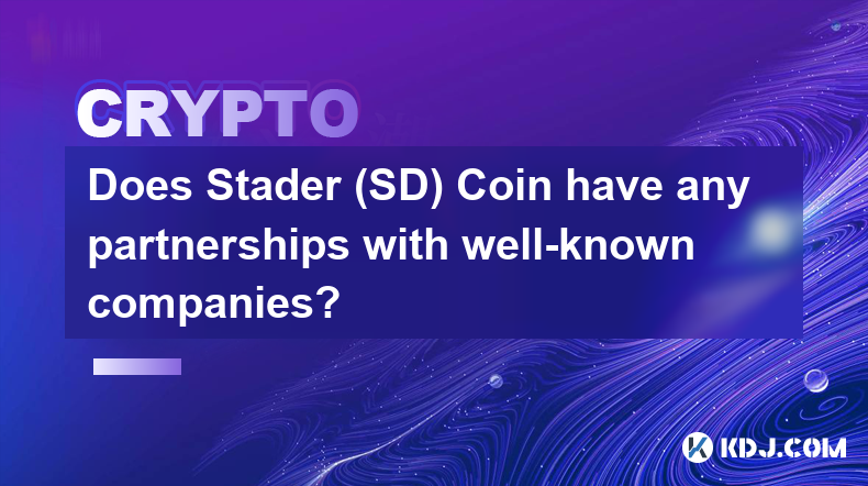 Stader (SD) Coin a-t-il des partenariats avec des entreprises renommées ?