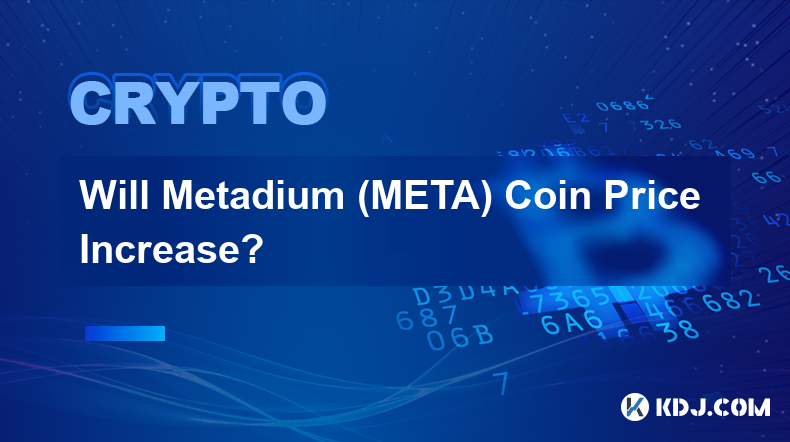 Will Metadium (META) Coin Price Increase?