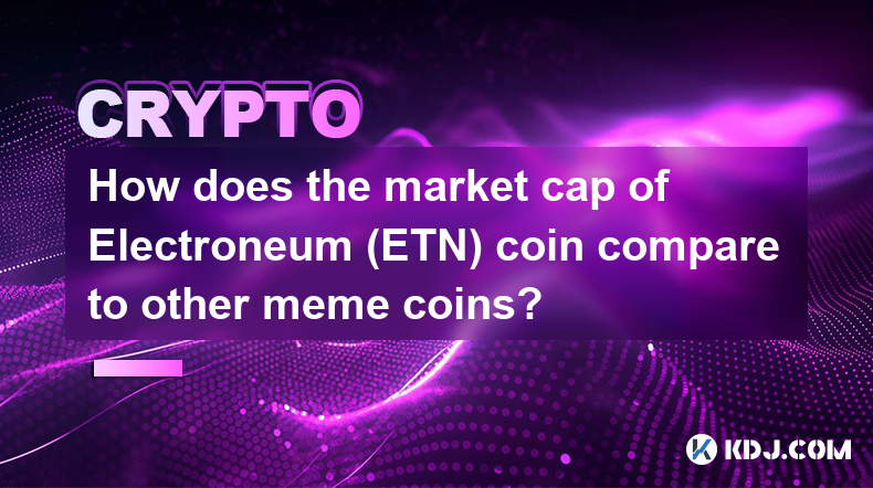 Electroneum (ETN) 硬幣的市值與其他 meme 硬幣相比如何？