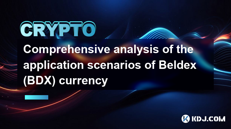 Beldex（BDX）貨幣應用情境全面分析