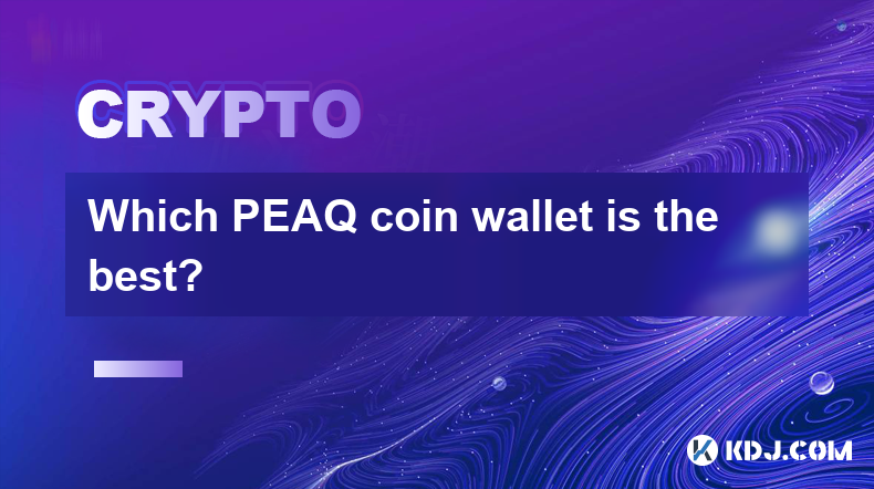 Welches PEAQ-Coin-Wallet ist das beste?