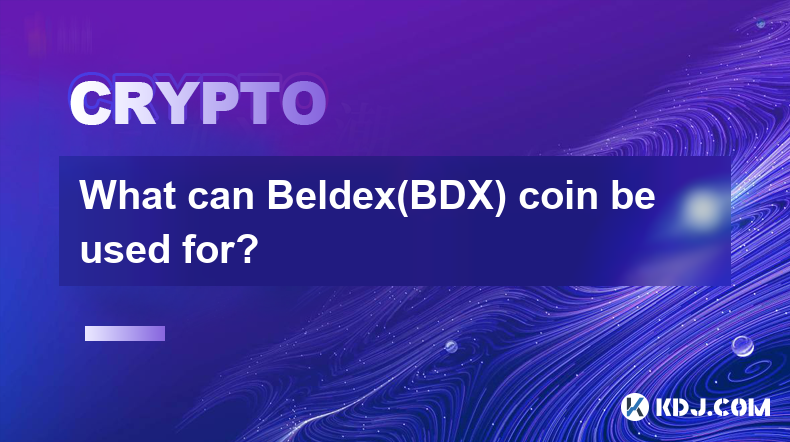 What can Beldex(BDX) coin be used for?