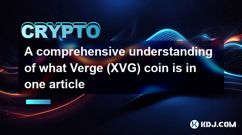 Une compréhension complète de ce qu'est la pièce Verge (XVG) dans un seul article