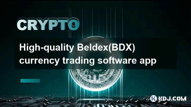 高品質 Beldex(BDX) 通貨取引ソフトウェア アプリ