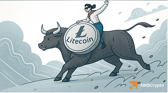 Les baleines Litecoin (LTC) s'accumulent avant le potentiel rallye 2025