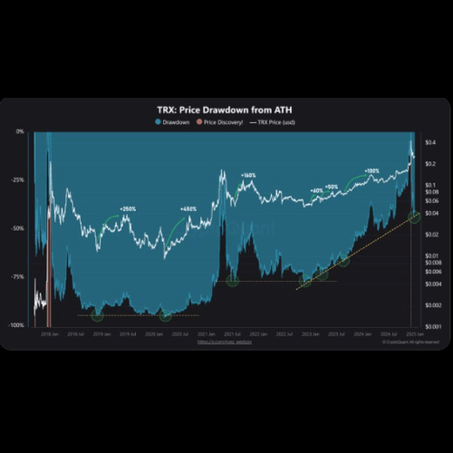 TRX 预示着看涨前景，TRON 网络收入 2024 年增长 115%