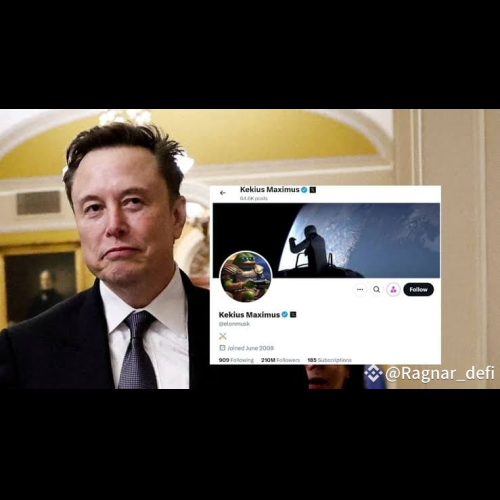 Elon Musk가 시장을 뒤흔들다: KEKIUS Meme 코인이 심하게 충돌합니다!