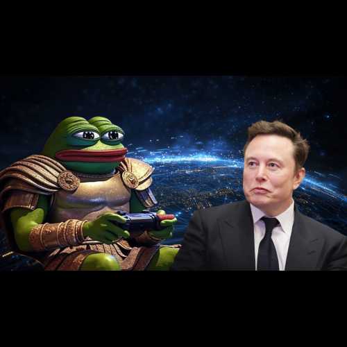 Meme Coins and Elon Musk – Name a Better Duo