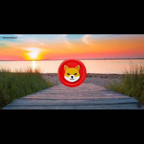 Shiba Inu (SHIB) Burns Over 1.7B Tokens to End 2024, Reigniting Market Optimism for 2025