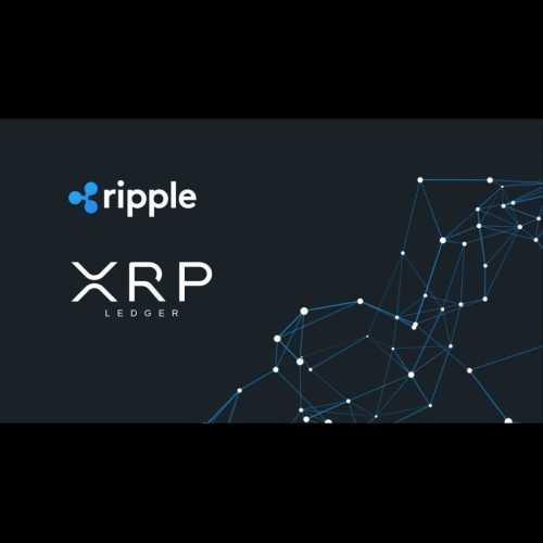 XRP and IntelMarkets (INTL) Emerge as Projects to Watch in 2025