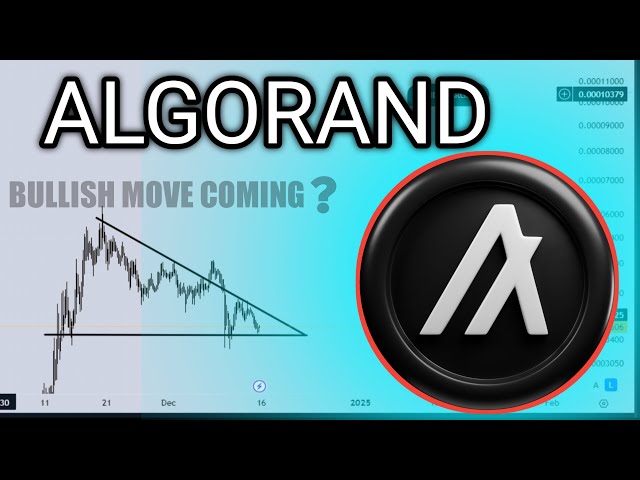 Algorand (ALGO) Price PREDICTION & Technical Analysis 3Jan | Algo Latest News | Algorand