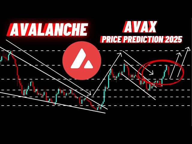 Avalanche AVAX 암호화 코인 가격 예측 2025