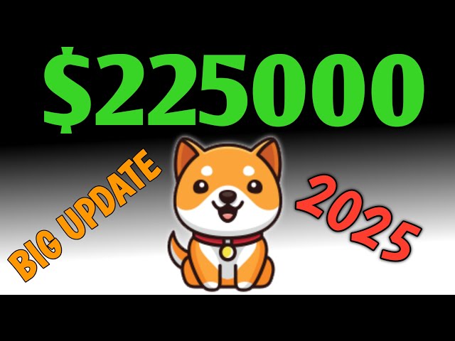 BABY DOGE COIN 💥 GROSSE LISTEN-COINBASE 🎉 AKTUELLE NACHRICHTEN HEUTE PREISVORHERSAGE 2025 🤑 ELON MUSK