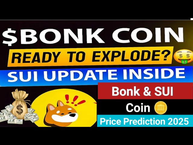 BONK Coin-Preisvorhersage 2025 🔥 | Riesige Gewinne bevor? 🚀 | SUI Coin Neuestes Update 💰