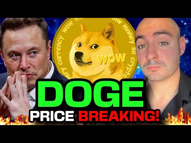 2025 年の 2 DOGE (DOGE 保有者に Elon X が支払い?) Doge 価格予測 (Dogecoin News)