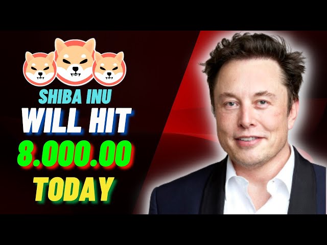 ELON MUSK ARK 투자로 출시된 SHIB이 2달러에 도달할 예정입니다! 오늘의 Shiba Inu 코인 뉴스 - SHIBA INU COIN NEWS