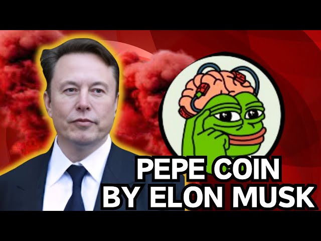 ELON MUSK gibt bekannt, dass er an Pepe Coin glaubt!