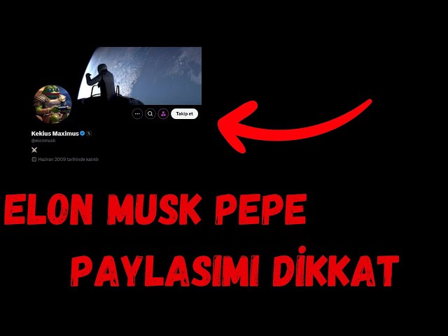 PEPE COIN ELON MUSK WIND KÖNNTE BACKFICKEN! PEPE-RÜCKGANGSTREND!