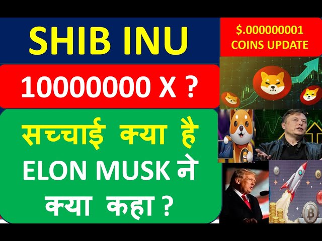 SHIB INU COIN 将来価格 : SHIB INU COIN レビュー : SHIB INU 価格予測 : SHIB INU NEWS