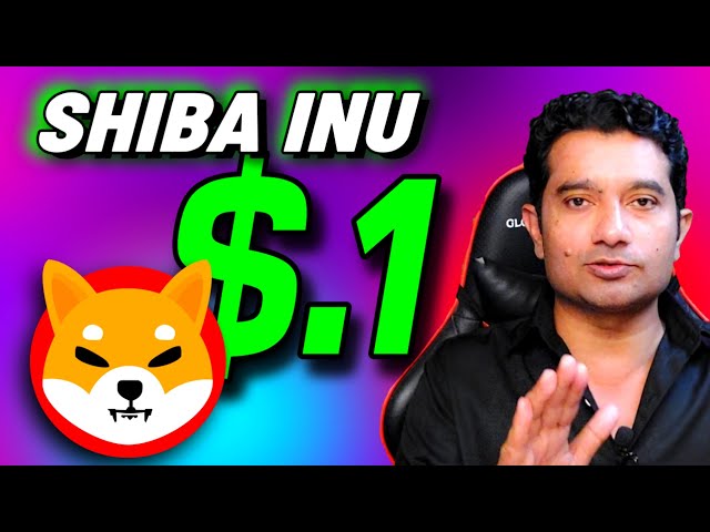 Shiba Inu Coin $.1 Dollar Mark 2025 ? Actualités sur les pièces Shiba Inu || Prix ​​BNB 2025