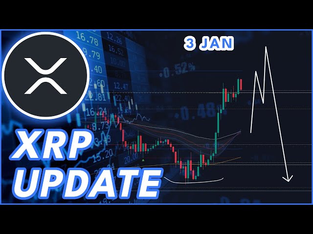 XRP 덤프 경고!🚨 | 리플(XRP) 가격 예측 및 뉴스 2024!