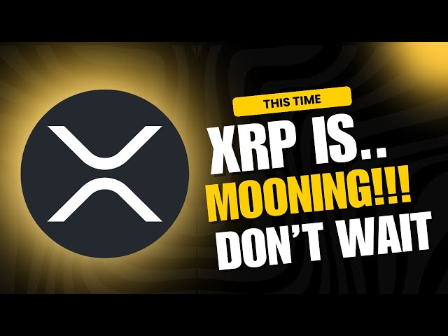 오늘의 XRP 뉴스 및 XRP 코인 분석 - XRP 가격 예측! 리플 XRP 펌프 수신 +15%