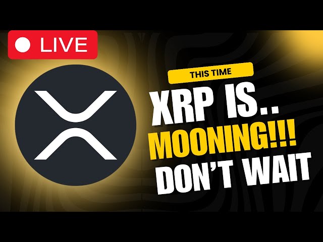 XRP RIPPLE LIVESTREAM - XRP RIPPLE COIN IS ABOUT TO PUMP FOR NEW YEARS! XRP COIN LATEST NEWS!