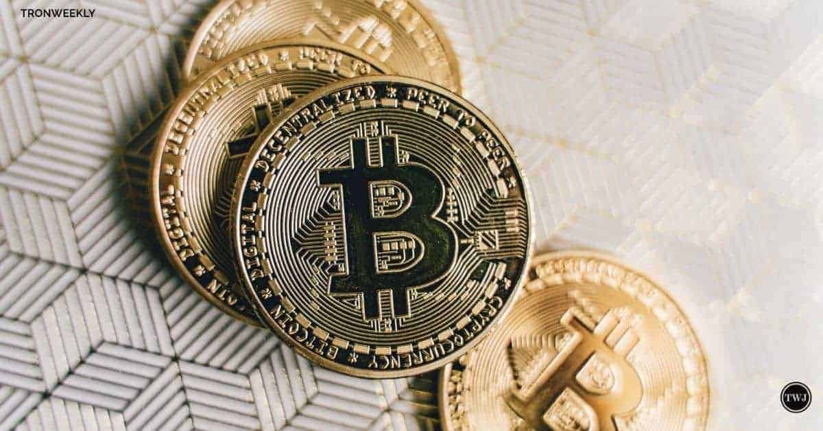 鏈上數據顯示，比特幣（BTC）價格調整並不代表多頭市場結束