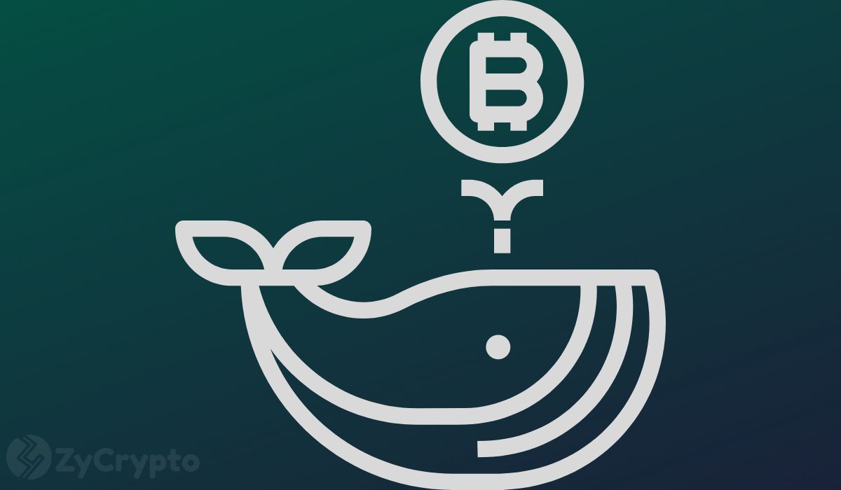 Bitcoin Whales Accumulate 70,000 BTC in 48 Hours, Signaling Conviction in Long-Term Potential