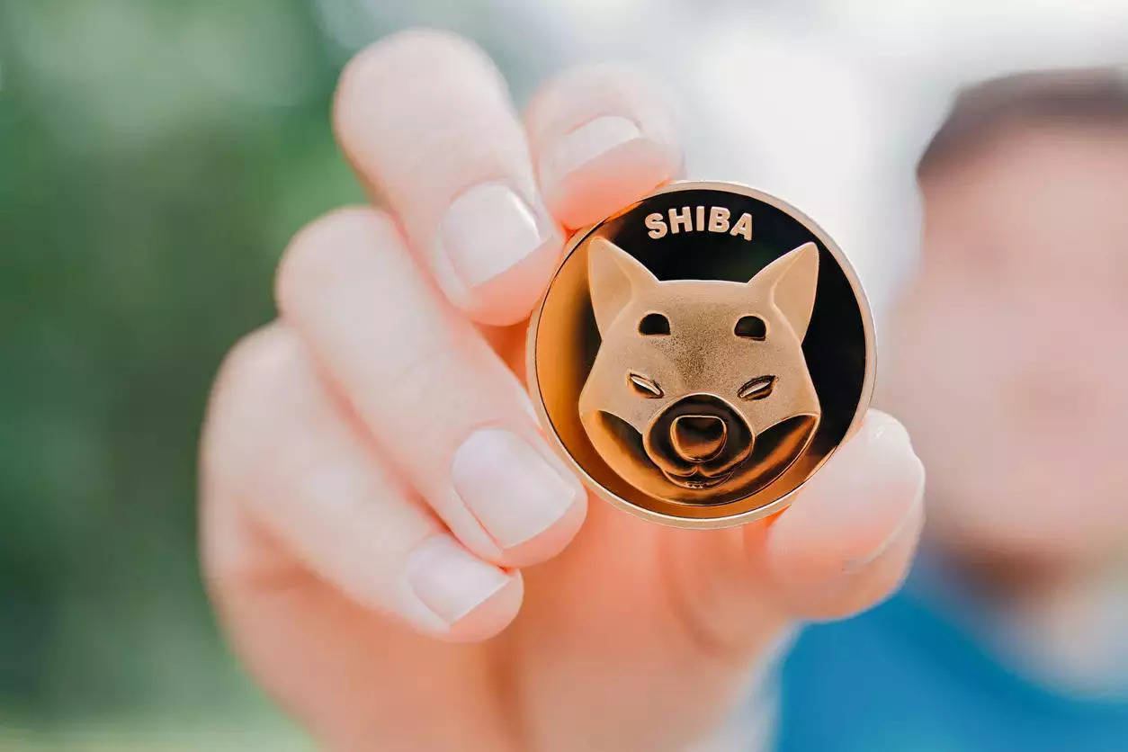 Shiba Inu (SHIB) Unveils Plans to Launch TREAT Token in January 2025